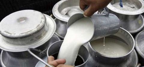 भारतीय दूध आयात रोक्न माग